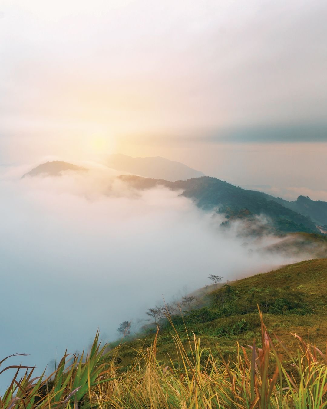 mist over mountain