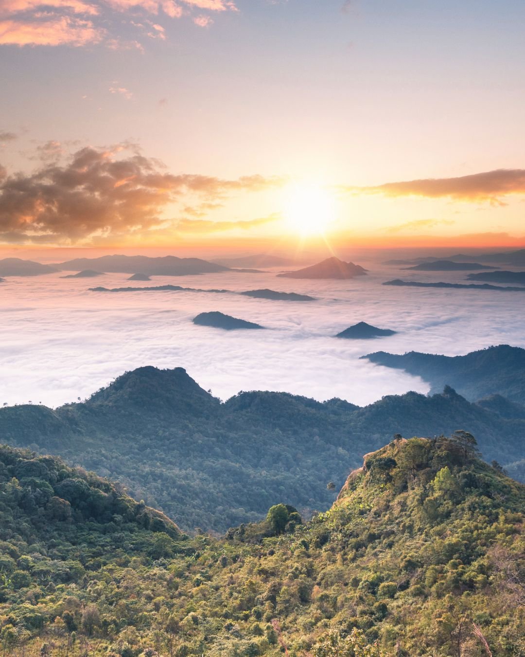 sun and mist