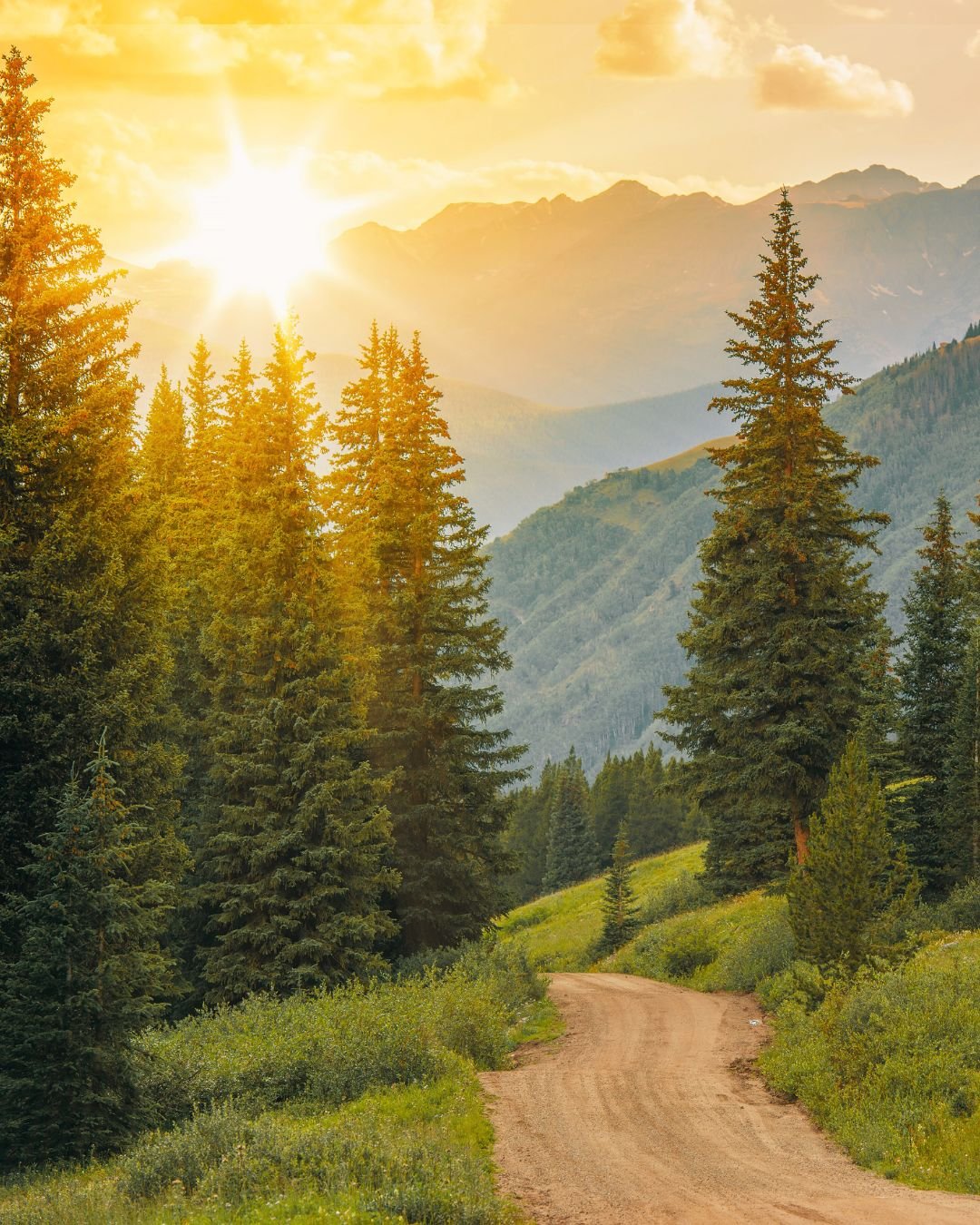 path through trees and mountains