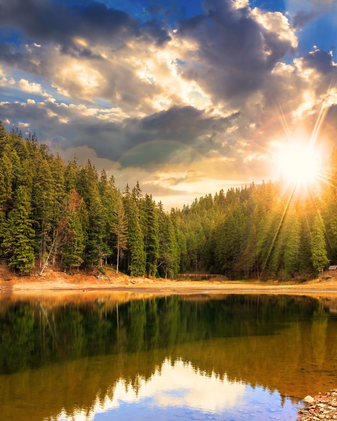 lake with trees and sun