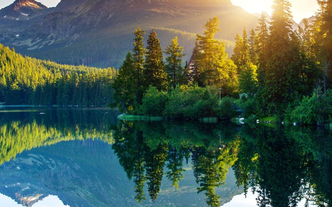 Emotional Awareness Deepens