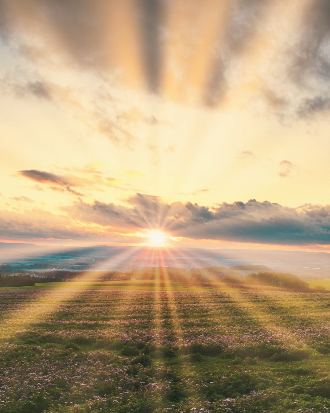 sun rays