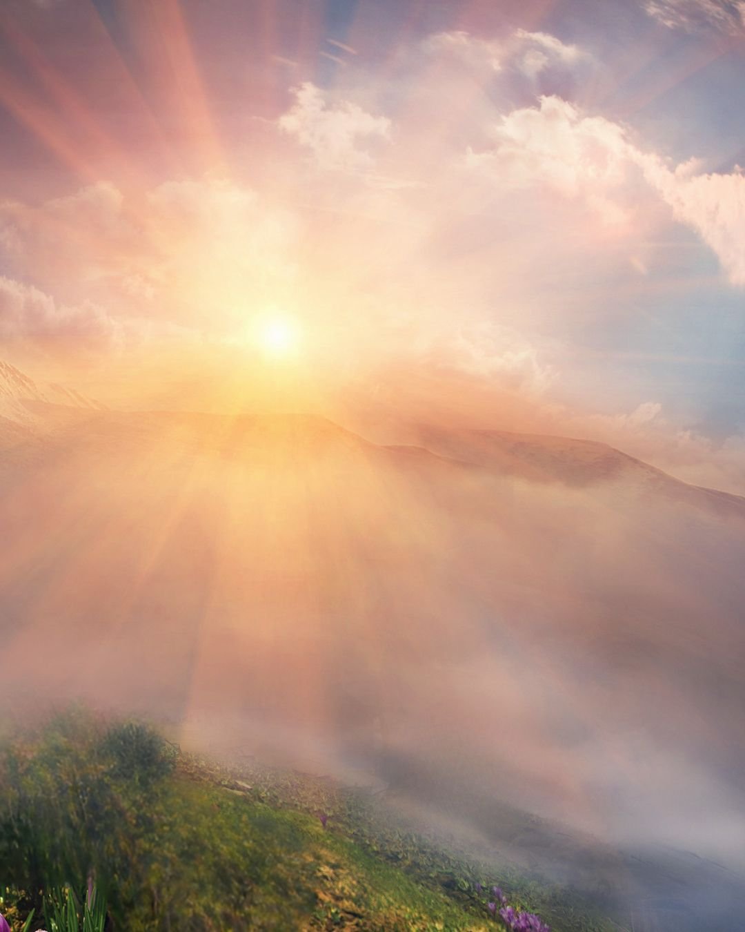 sun through fog