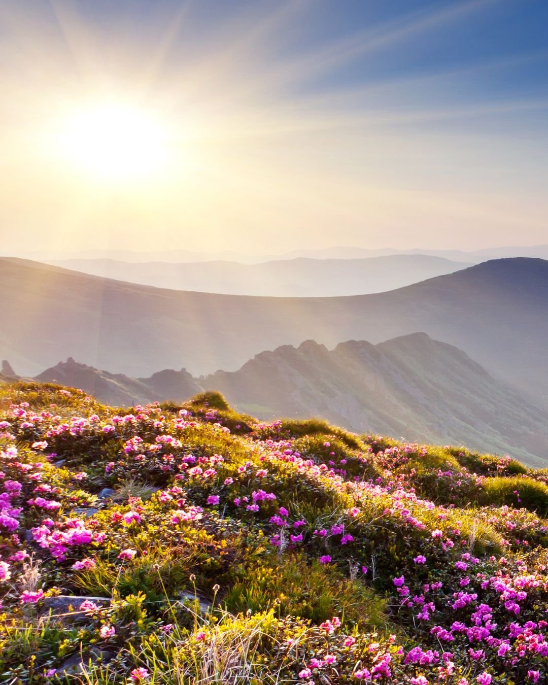 Sun over moutains