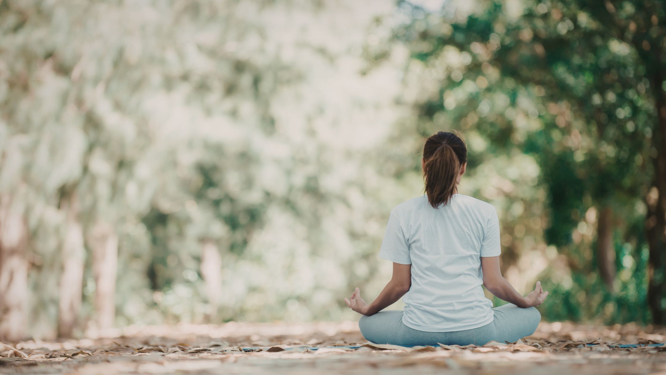 woman sitting in path