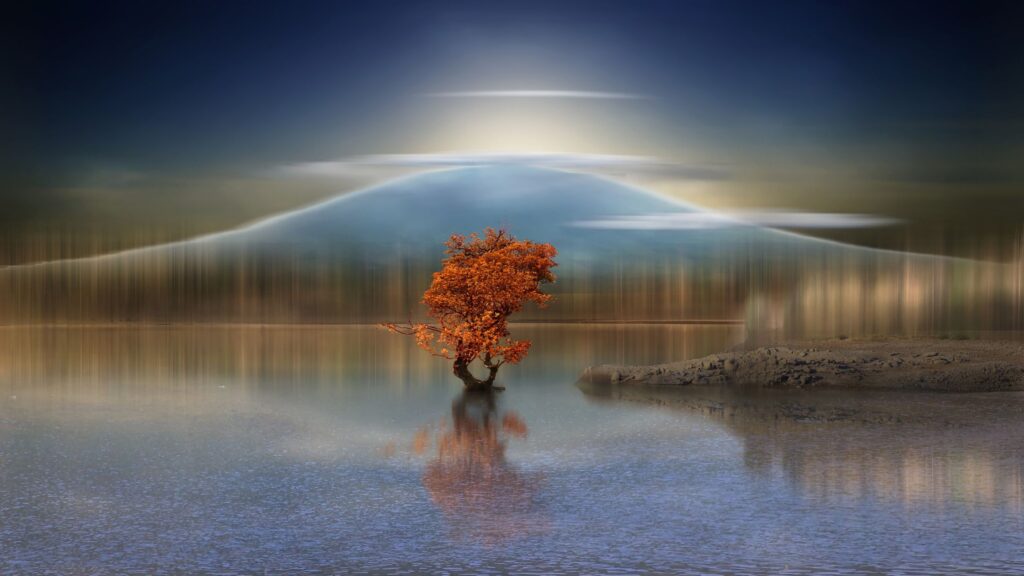 tree in lake