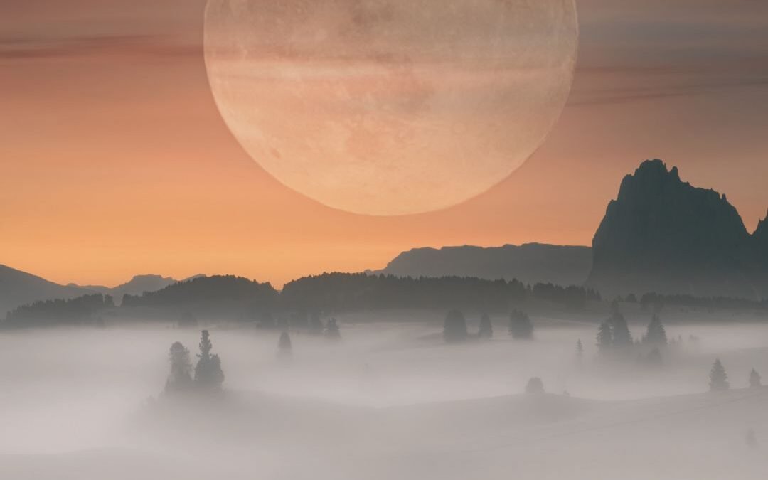fuly moon