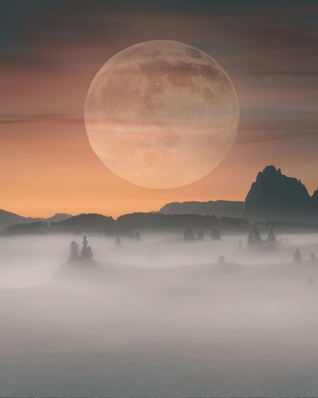 fuly moon