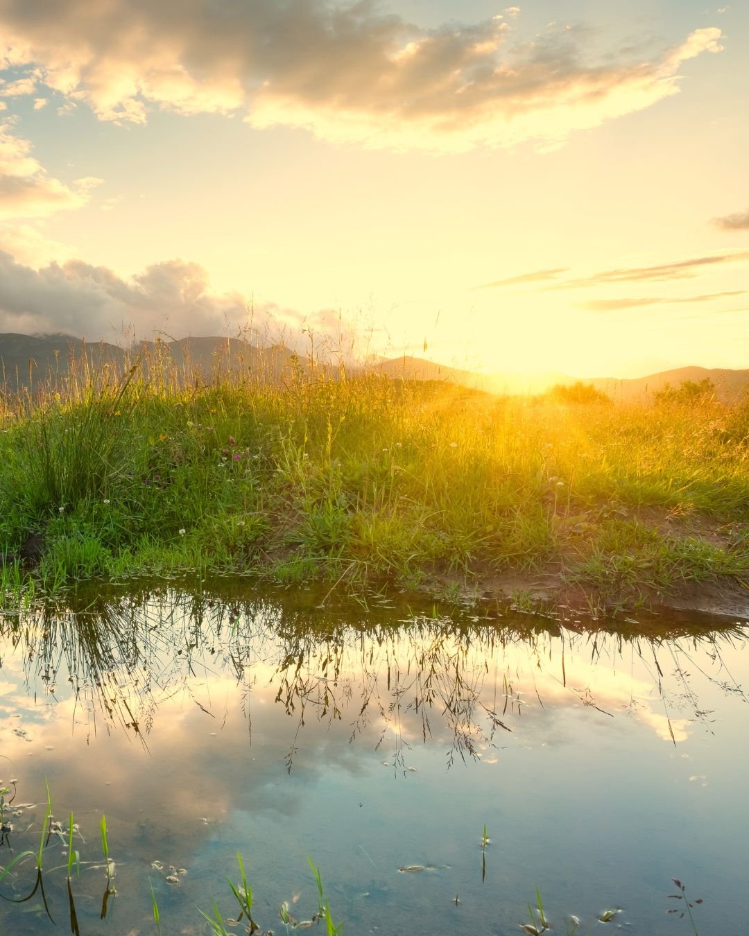 sun over stream and grass