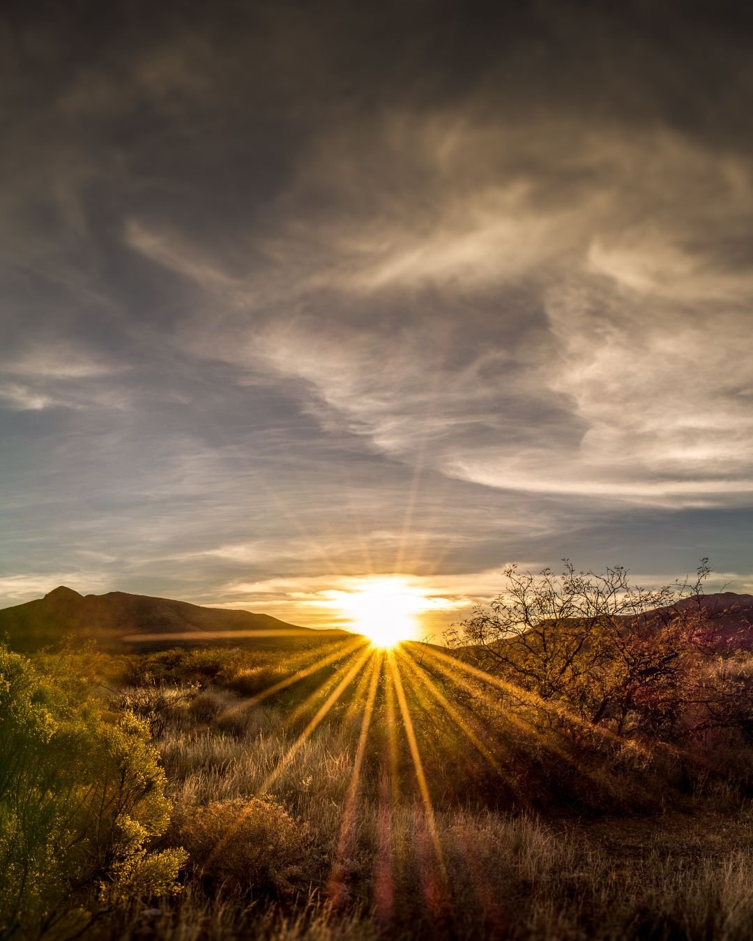 sunrise