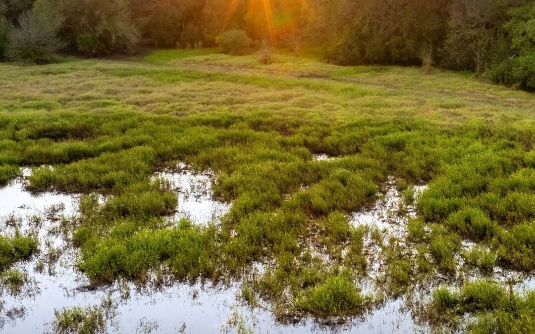 Finding Clarity in the Stillness