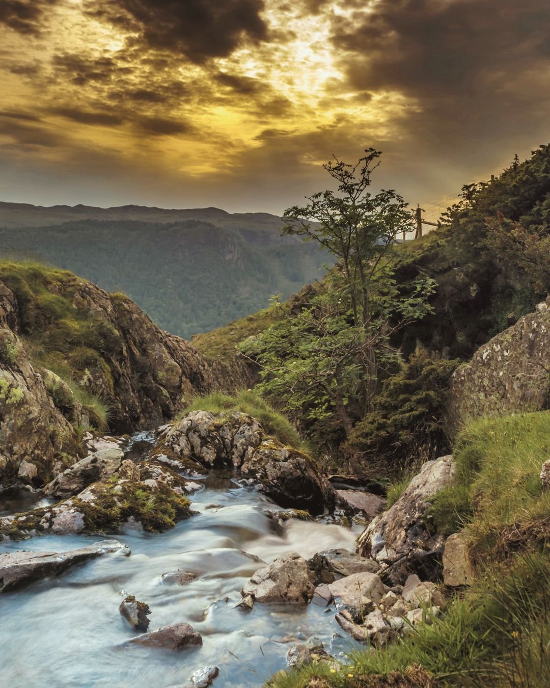 stream through mountains