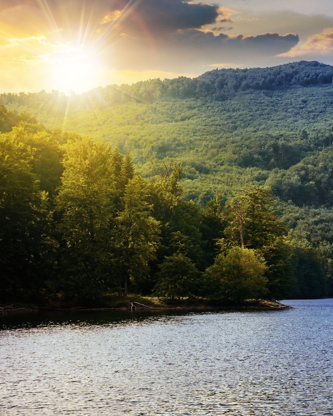 sun over trees and lake