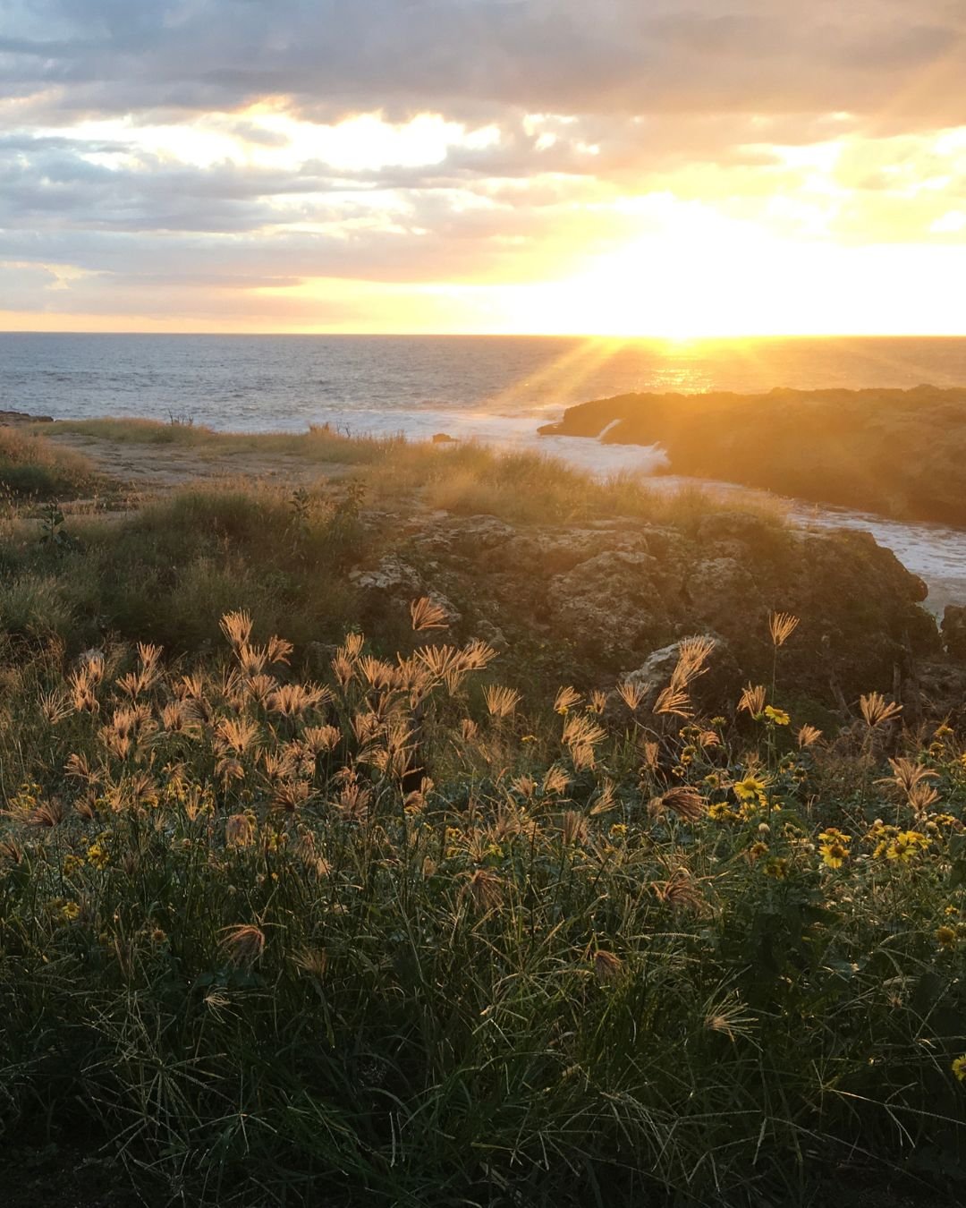 sunrise over bay
